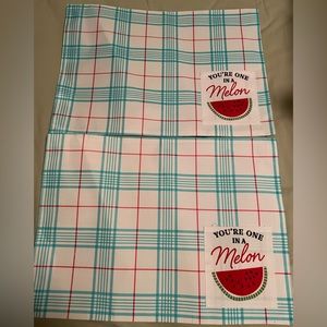 Brand new Set of 2 cute watermelon spring summer Placemats